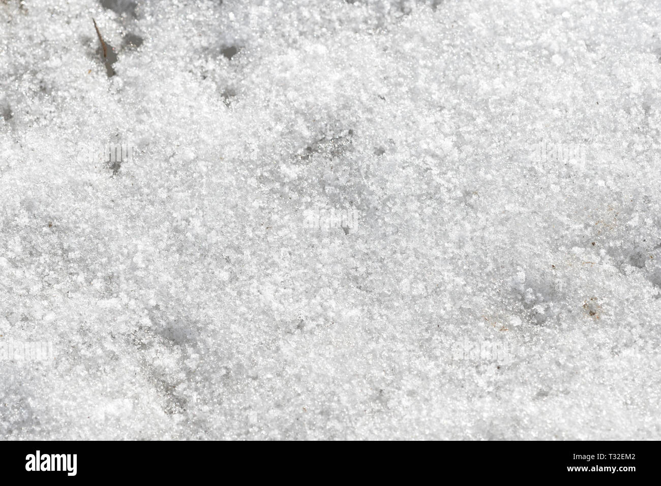 Nasse Frühjahr Schnee Hintergrund und Textur Nahaufnahme Stockfoto