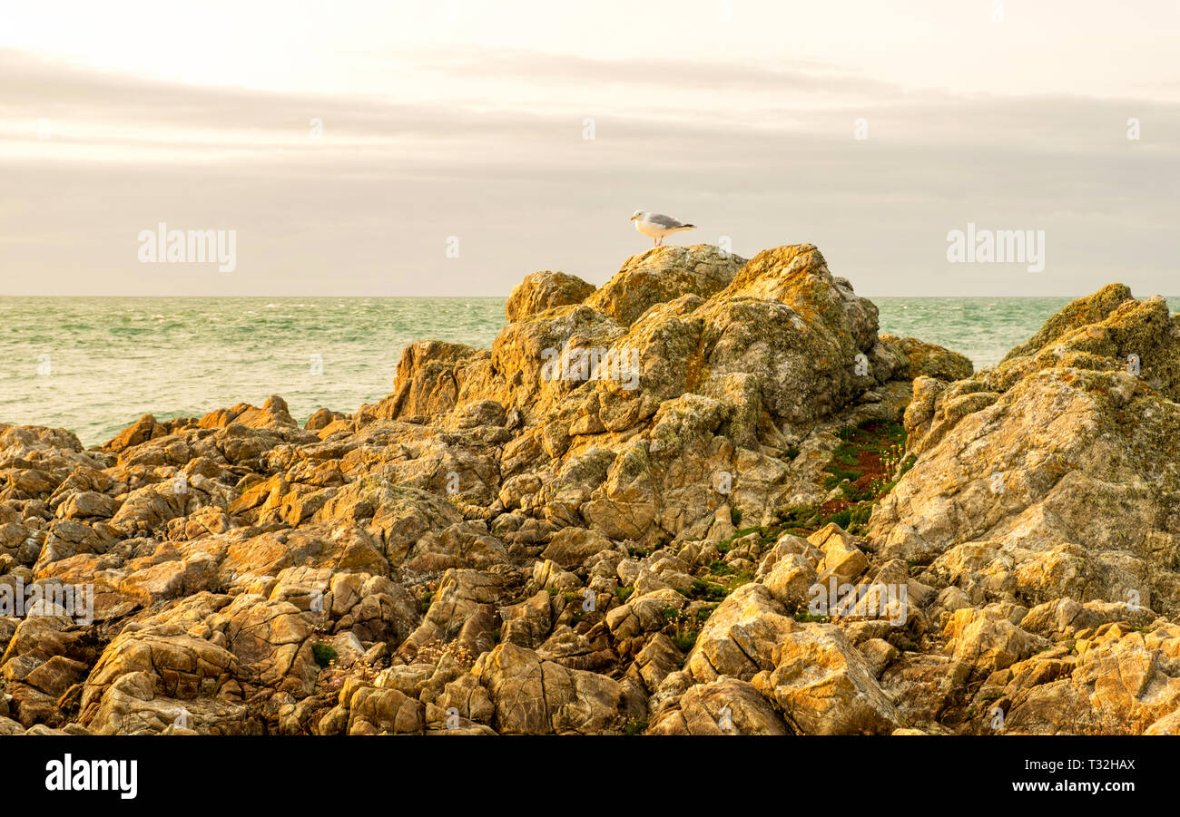 Schöne Felsenküste von Cap de la Hague ist ein Kap an der Spitze der Halbinsel Cotentin in der Normandie, Frankreich. Stockfoto