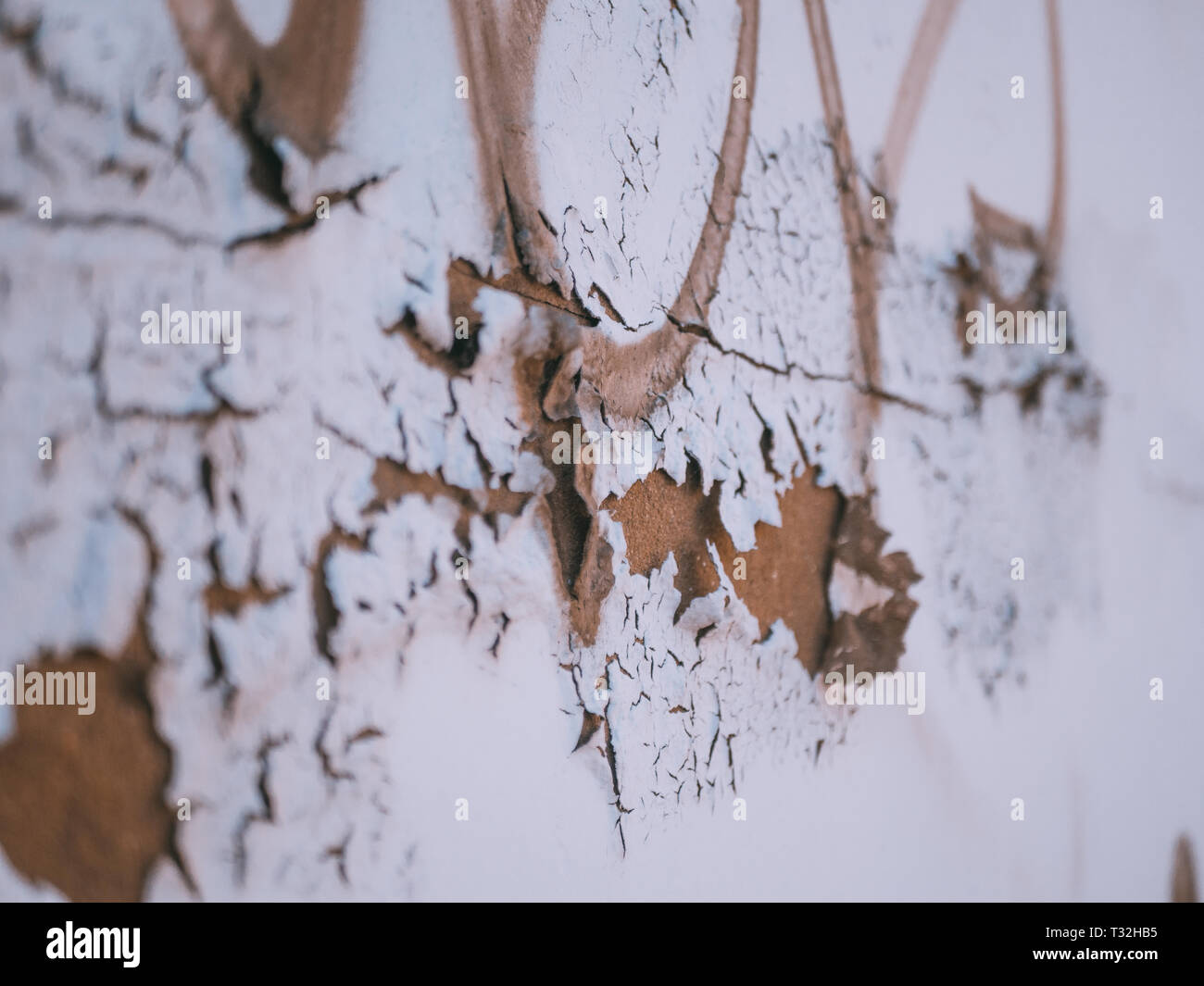 In Norwich bricht Farbe von einer Wand Stockfoto