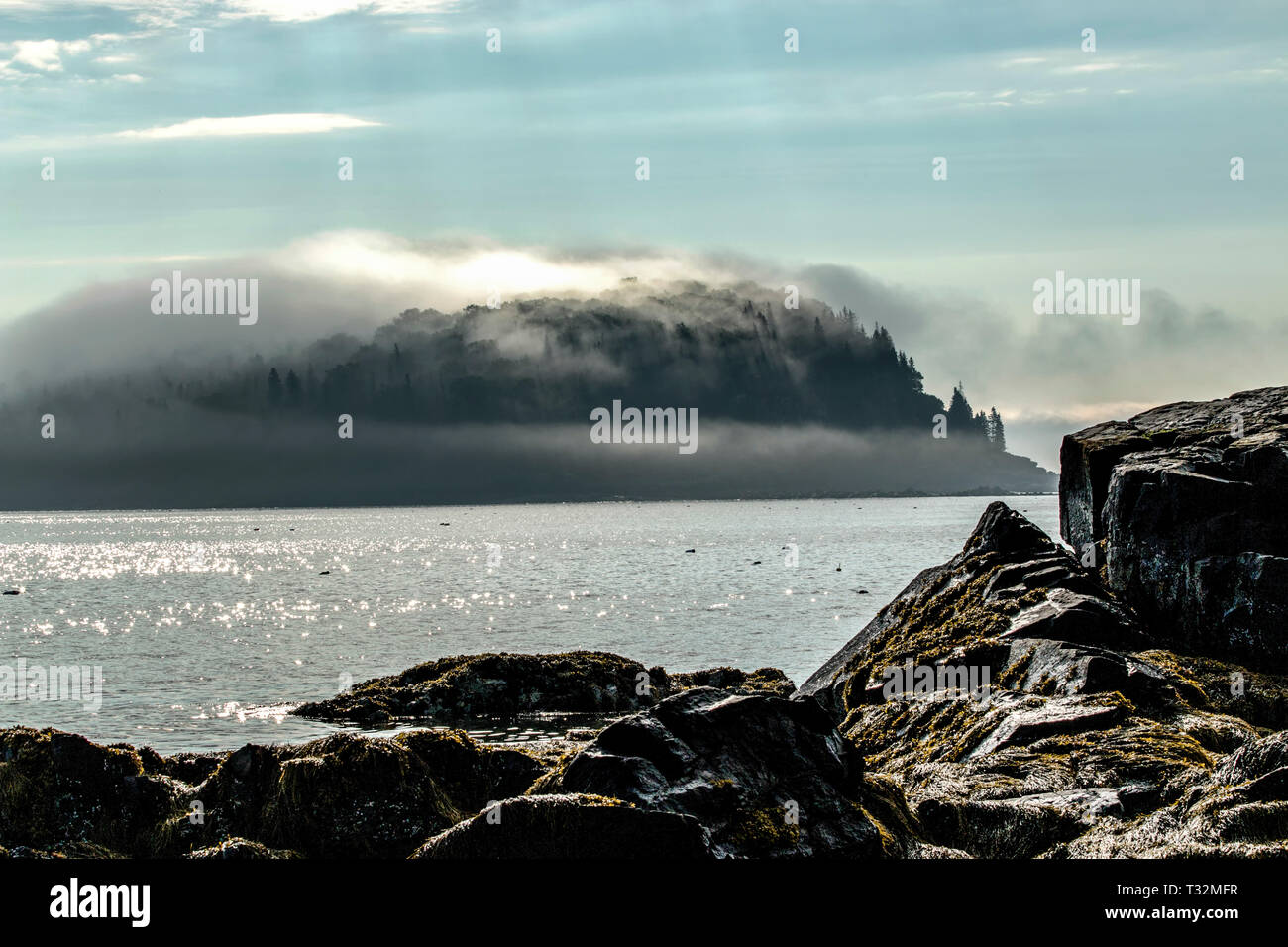 Nebel verschlingt Porcupine Insel an einem sonnigen Morgen in Bar Harbor Maine. Stockfoto