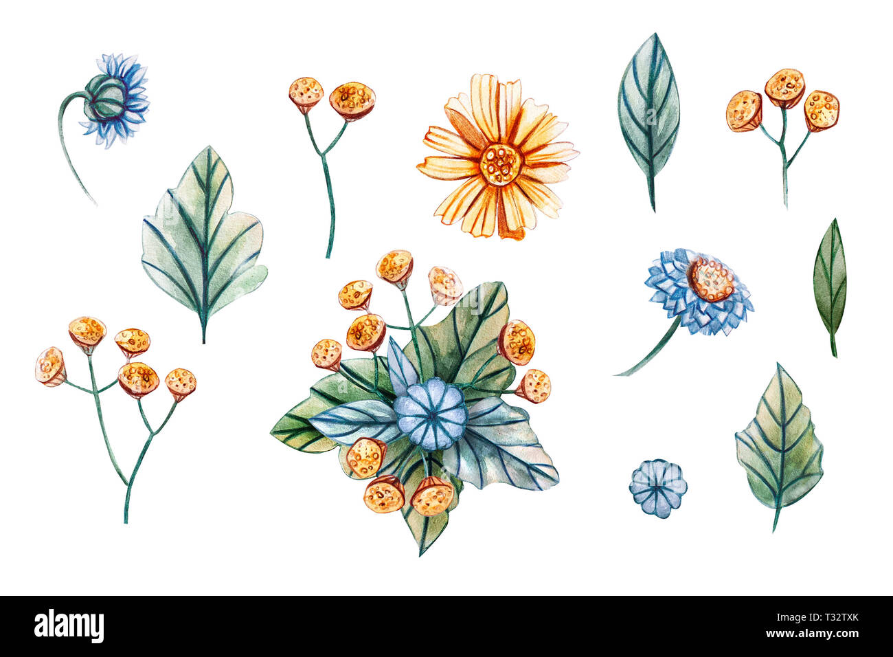 Aquarell Illustrationen mit Pflanzen und Blumen für die Hochzeit. Floral Karte mit grünen Blättern, gelb, gelb Kamille rainfarn und blaue Kamille. Au Stockfoto