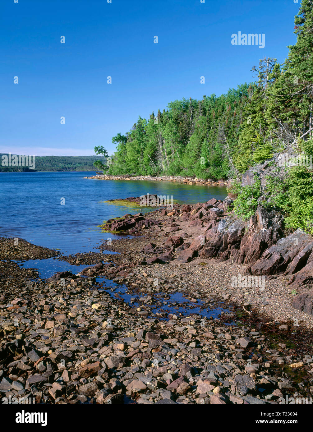 Kanada, Neufundland, Terra Nova Nationalpark, tiefen, blauen Wasser von Newman Sound und die umliegenden gemischt Nadel- und Laubwald. Stockfoto