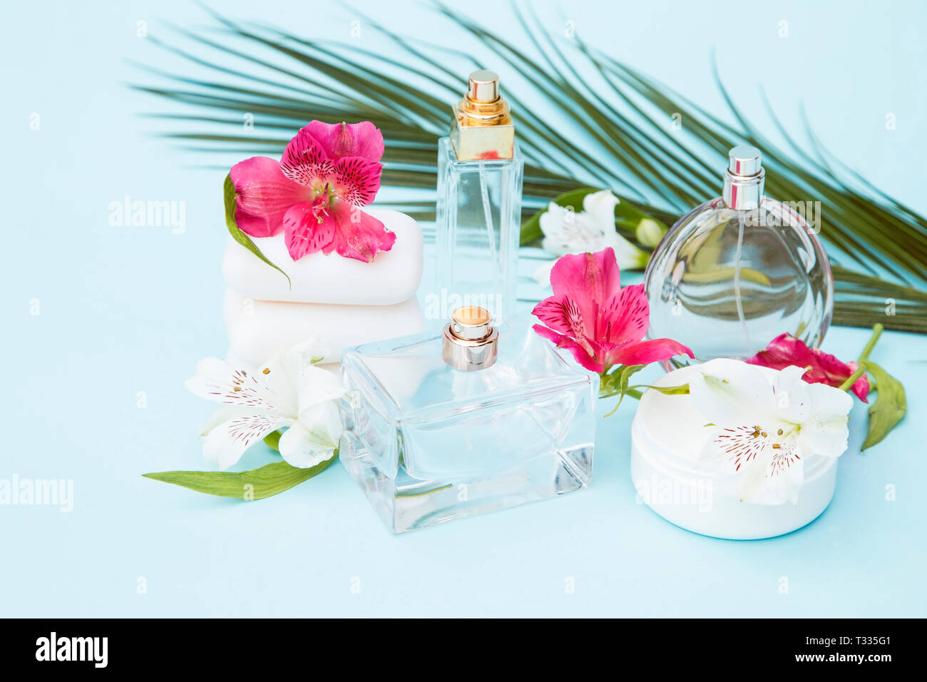 Beauty Arrangement mit dem Palm Leaf und wilde Orchideen Stockfoto