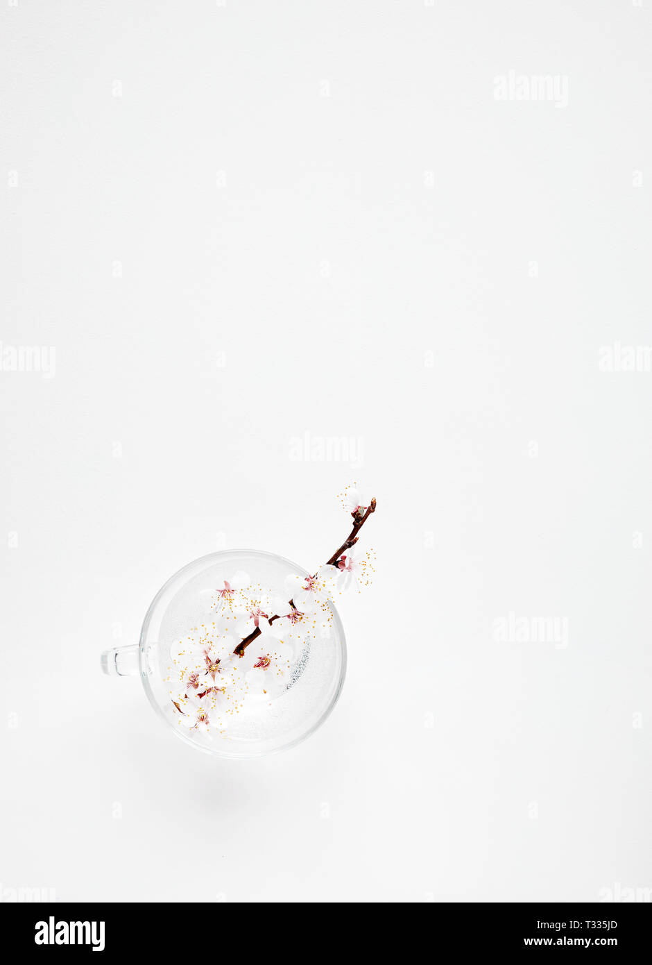 Weiße Blüten in Wasser auf weißem mit Freiraum für Ihren Text Stockfoto