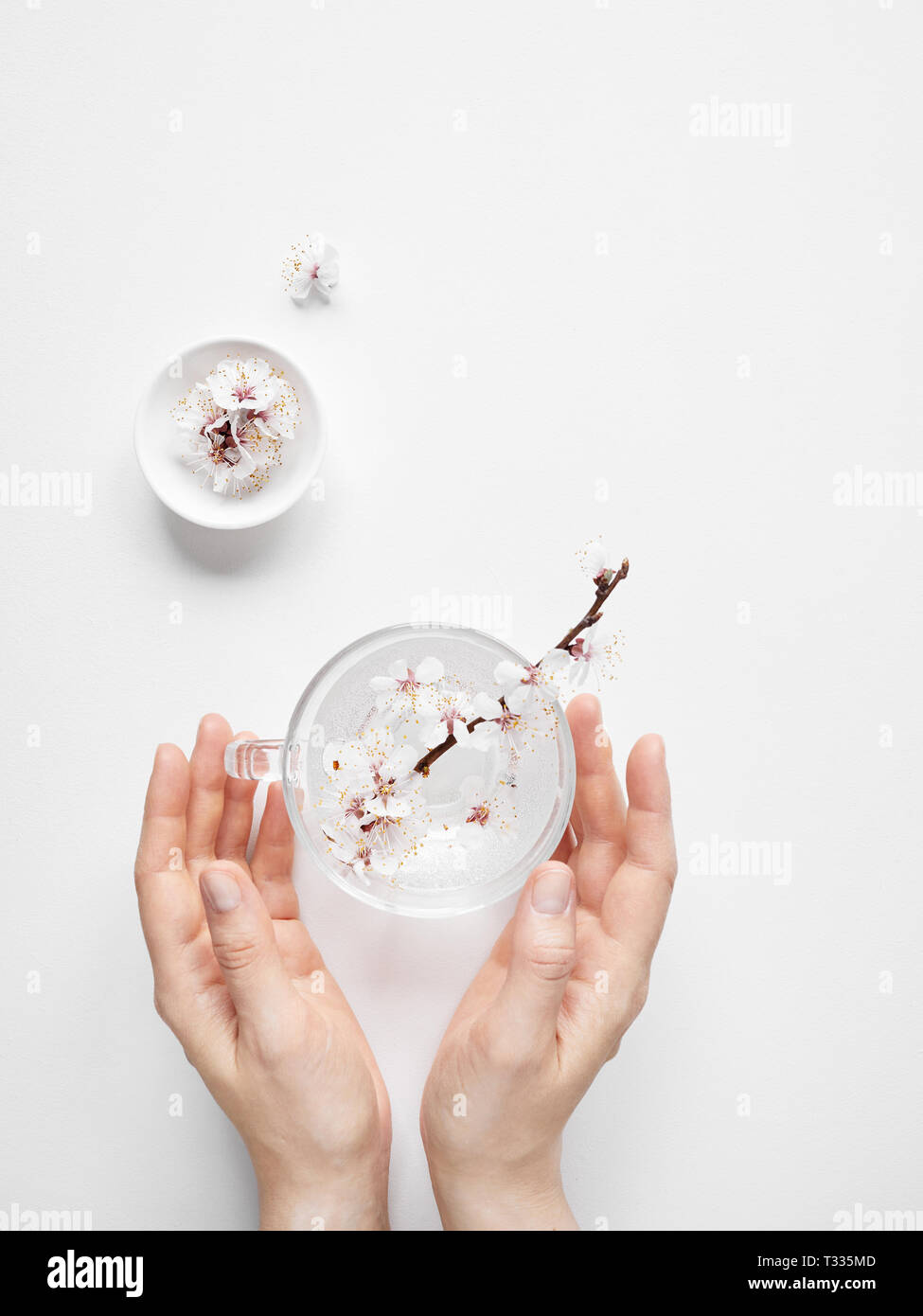 Frau mit weißen Blumen in Schale. Zen minimalistische Komposition auf weißem Hintergrund mit Freiraum für Ihren Text Stockfoto