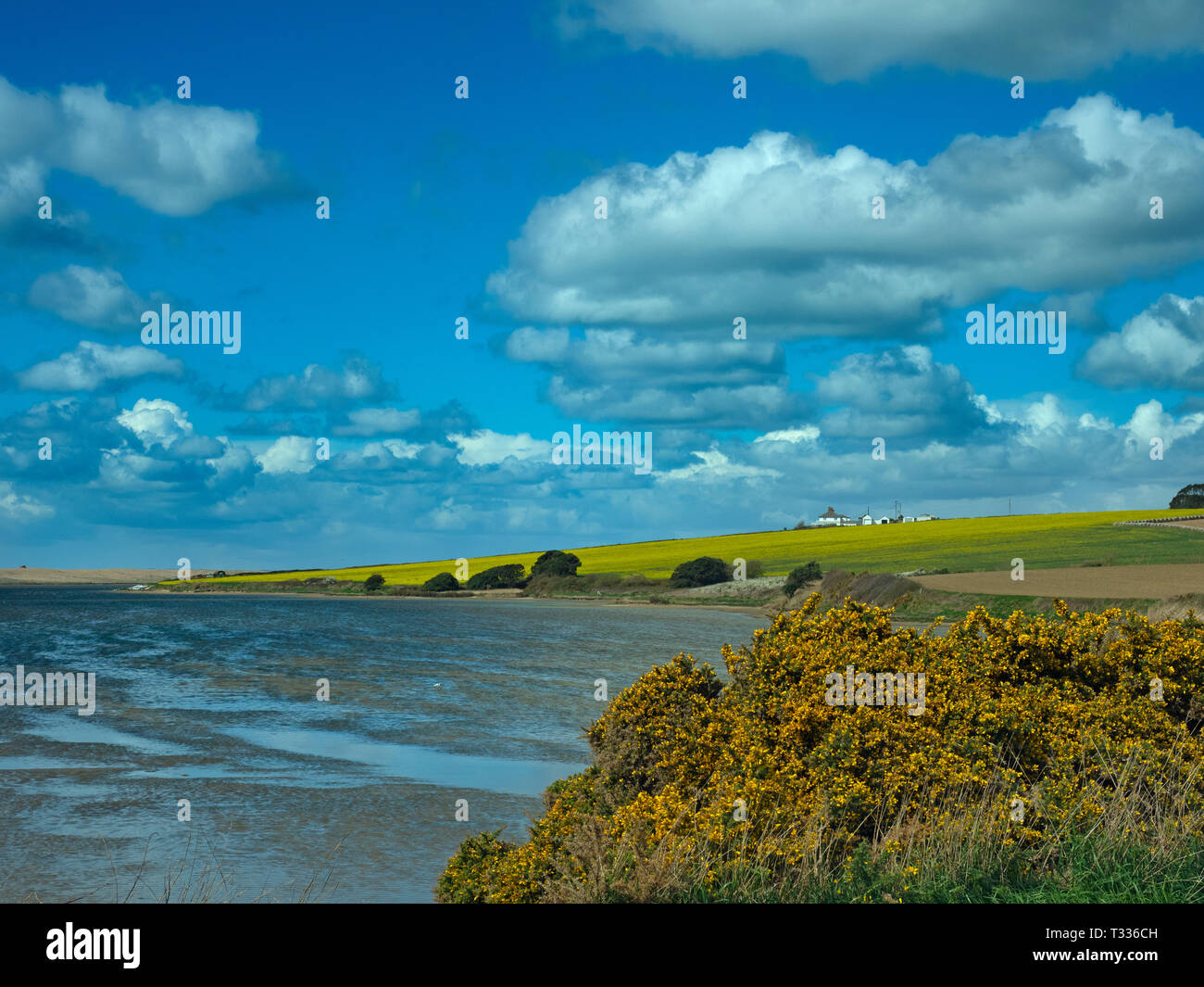 Chesil Beach und die Flotte auf der Jurassic Coast in Dorset Südengland Stockfoto