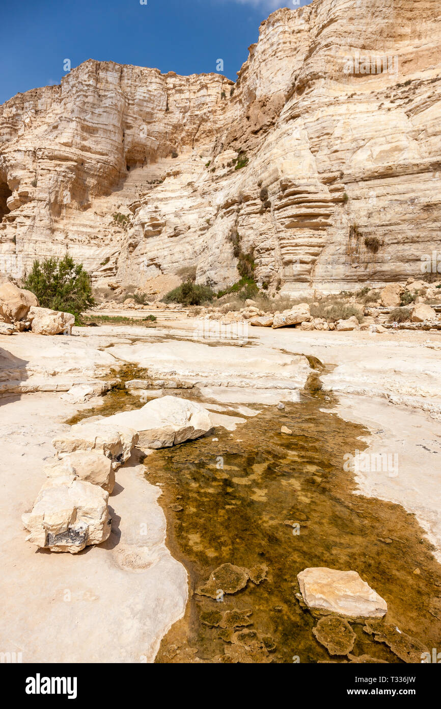 Ein Avdat ist ein Canyon in der Wüste Negev in Israel, südlich des Kibbuz Sde Boker. Archäologische Funde zeigen, dass Ein Avdat bewohnt wurde durch Nabatea Stockfoto