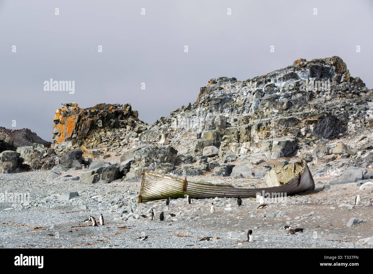 Eine alte verlassene Boot im Half Moon Island, Antarktische Halbinsel, von einem der frühesten touristische Kreuzfahrten in die Antarktis zu gehen, mit kinnband Pen Stockfoto