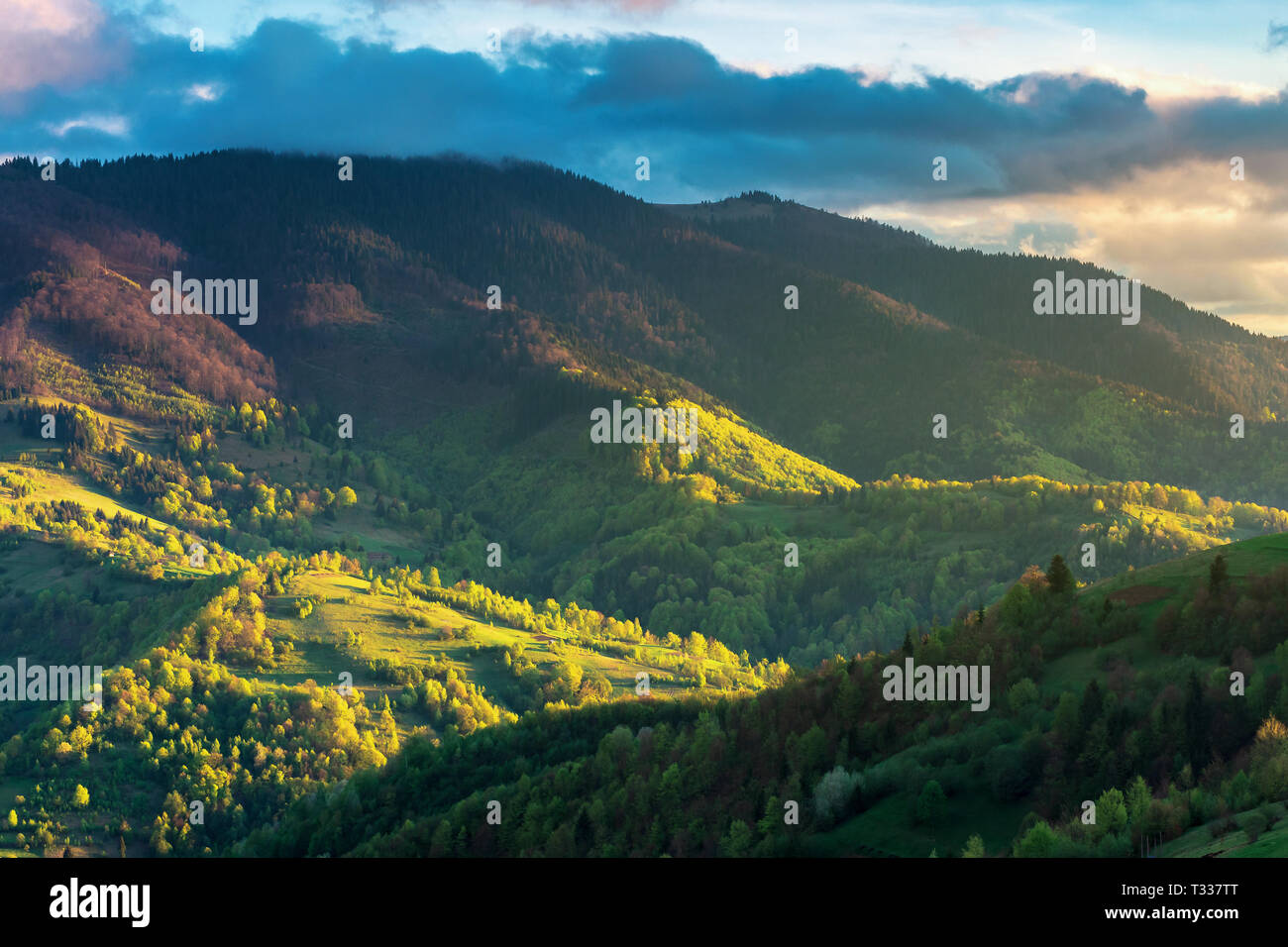 Ländliche Landschaft in den Bergen. landwirtschaftliche Felder auf Hügeln. wunderbaren Frühling Landschaft an einem bewölkten Abend Wetter Stockfoto