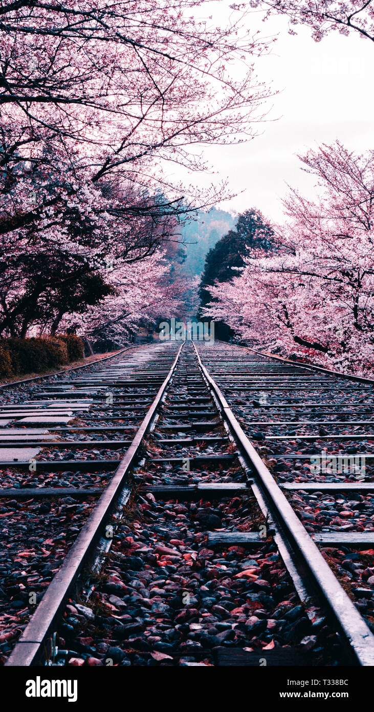 Magische Orte in Japan Stockfoto