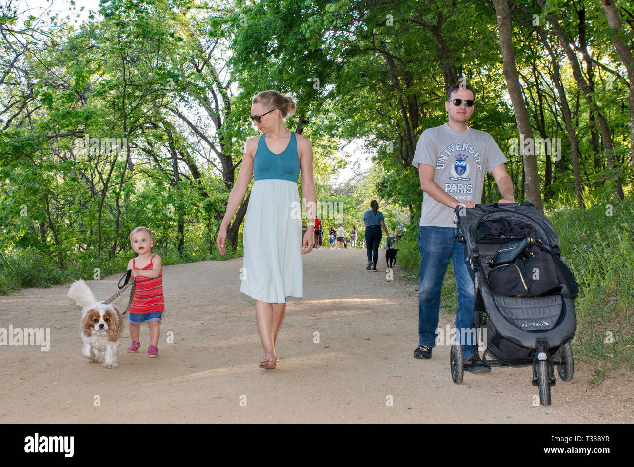 Vater, Mutter, Mädchen Kleinkinder- und Cavalier King Charles Spaniel, am Kellermeister Trail im Zilker Park in Austin, Texas, USA Stockfoto