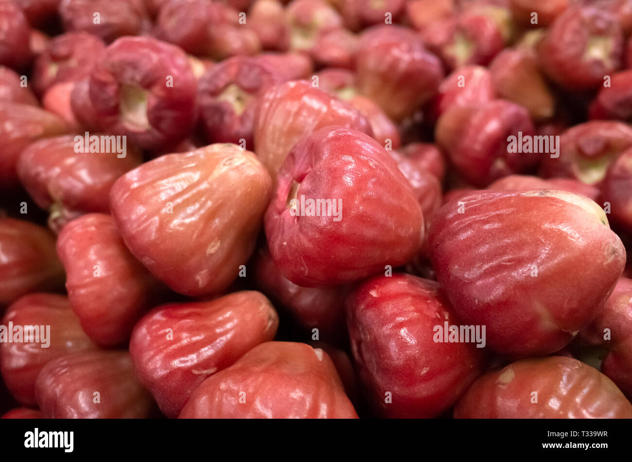 Frisches Wachs Apfel Obst am Marktplatz Stapel Stockfoto