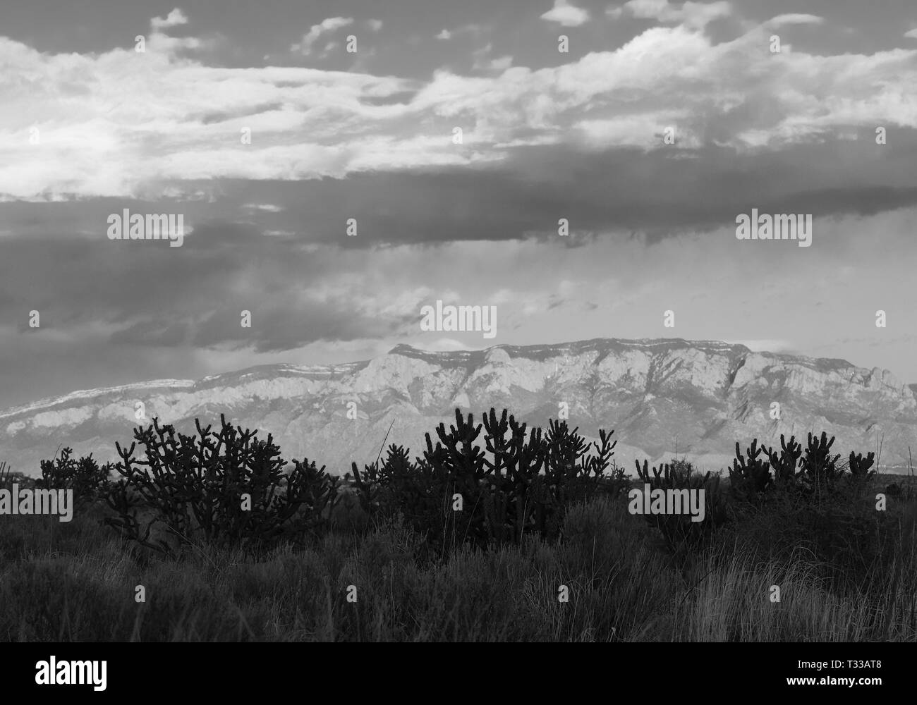 Südwesten Sandia Mountains Stockfoto