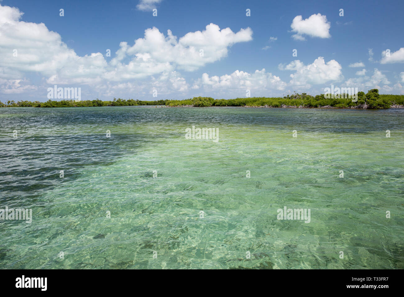 Lagune von chinchorro Banken, Banco Chinchorro, Karibik, Mexiko Stockfoto