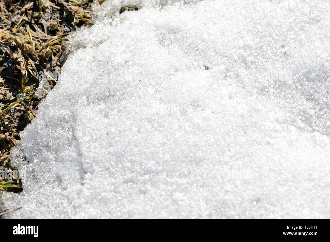 Zusammenfassung Hintergrund von Schnee und Frühling Boden mit trockenem Gras Nahaufnahme Stockfoto