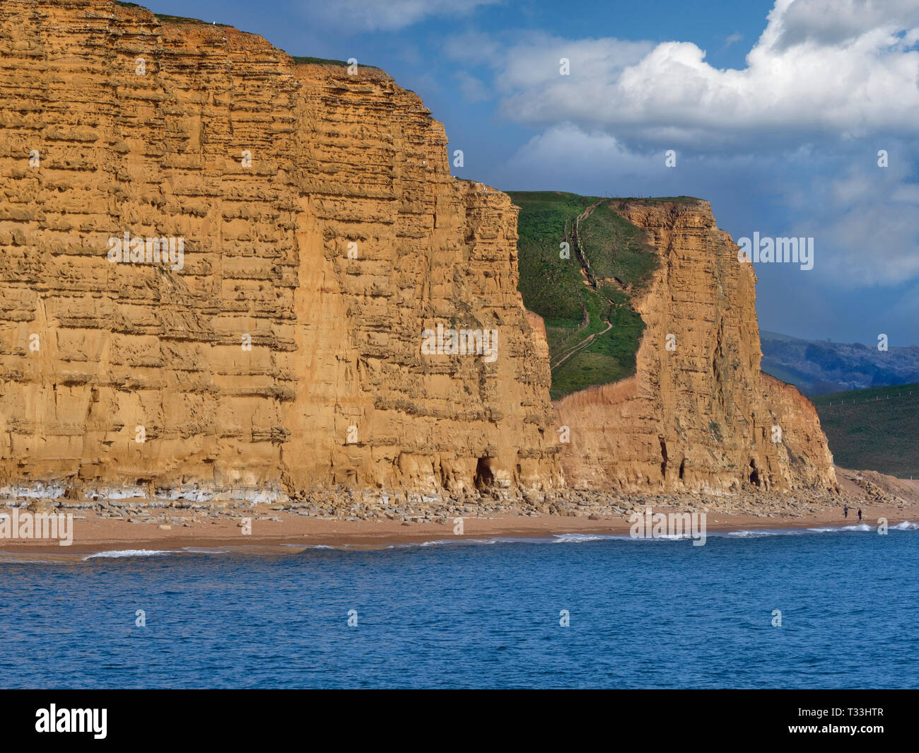 Westbay über die Jurassic Coast in Dorset Südengland Stockfoto