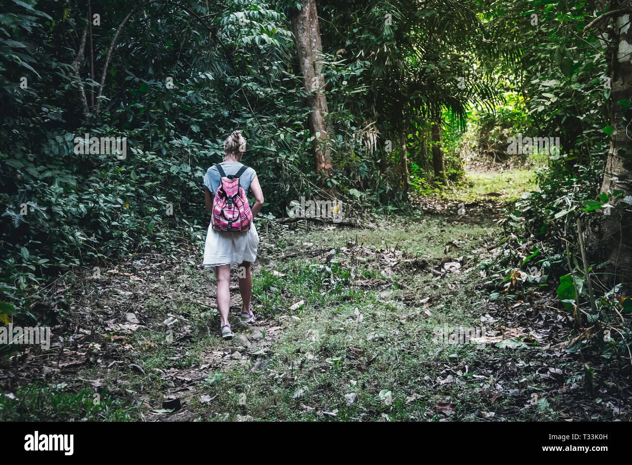 Ansicht von der Rückseite Foto einer sportliche curly Kätzin mit einem Rucksack zu Fuß durch den tropischen Regenwald mit dunkelgrünen Wald an einem Sommertag. Schüler Stockfoto