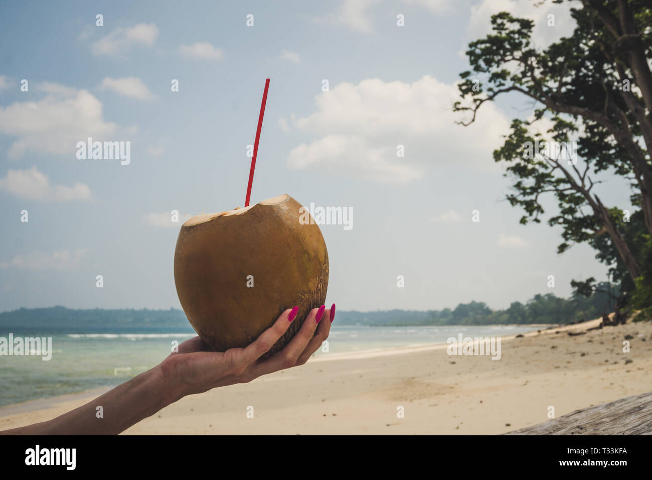 Frische Kokosnuss Cocktail in Han. Weibliche Hand mit rosa Nägel Holding eine frische Kokosnuss mit Kokosmilch auf dem Hintergrund der Strand und das Meer und ein Stockfoto