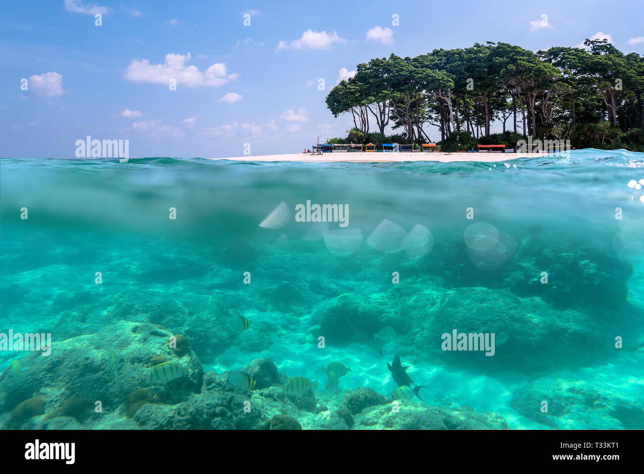 Über - unter Ansicht von einem tropischen Strand mit üppigen tropischen Baum und Sonnenlicht auf sandigen Meeresboden unterhalb der Wasseroberfläche, Andamanen und Nikobaren. Neil, Havelo Stockfoto