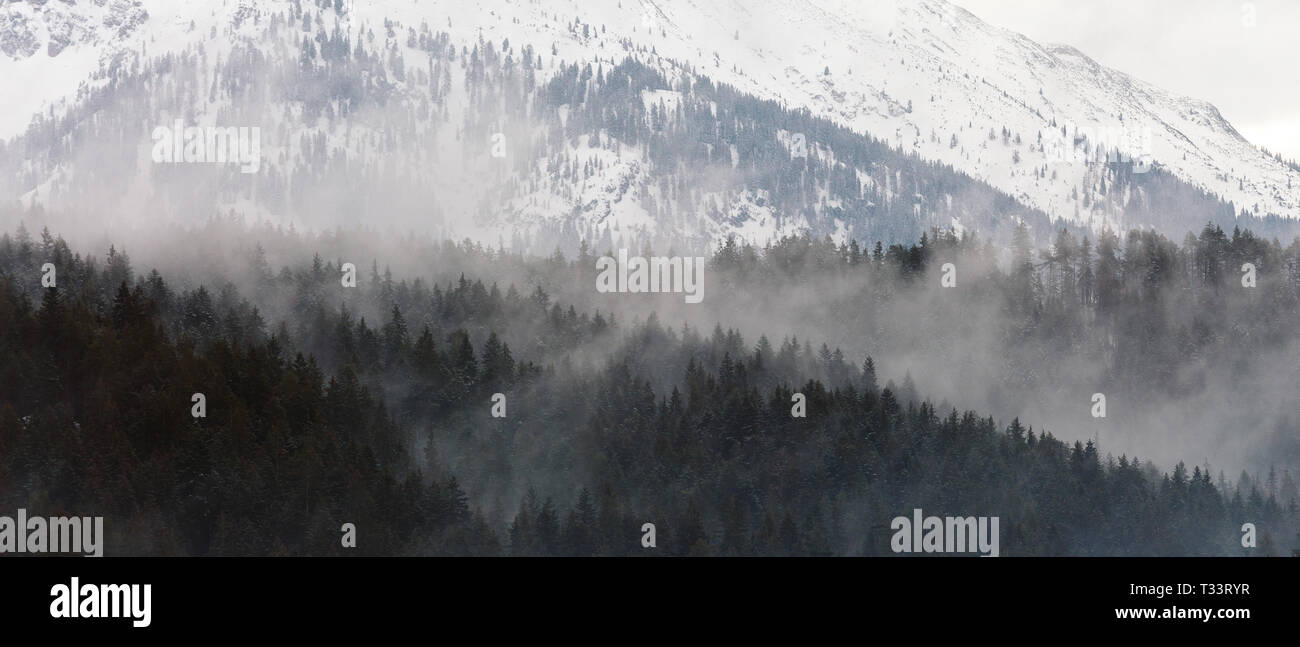 Wald und Nebel. Leutaschtal. Berglandschaft der österreichischen Alpen, Wintersaison. Österreich. Europa. Stockfoto