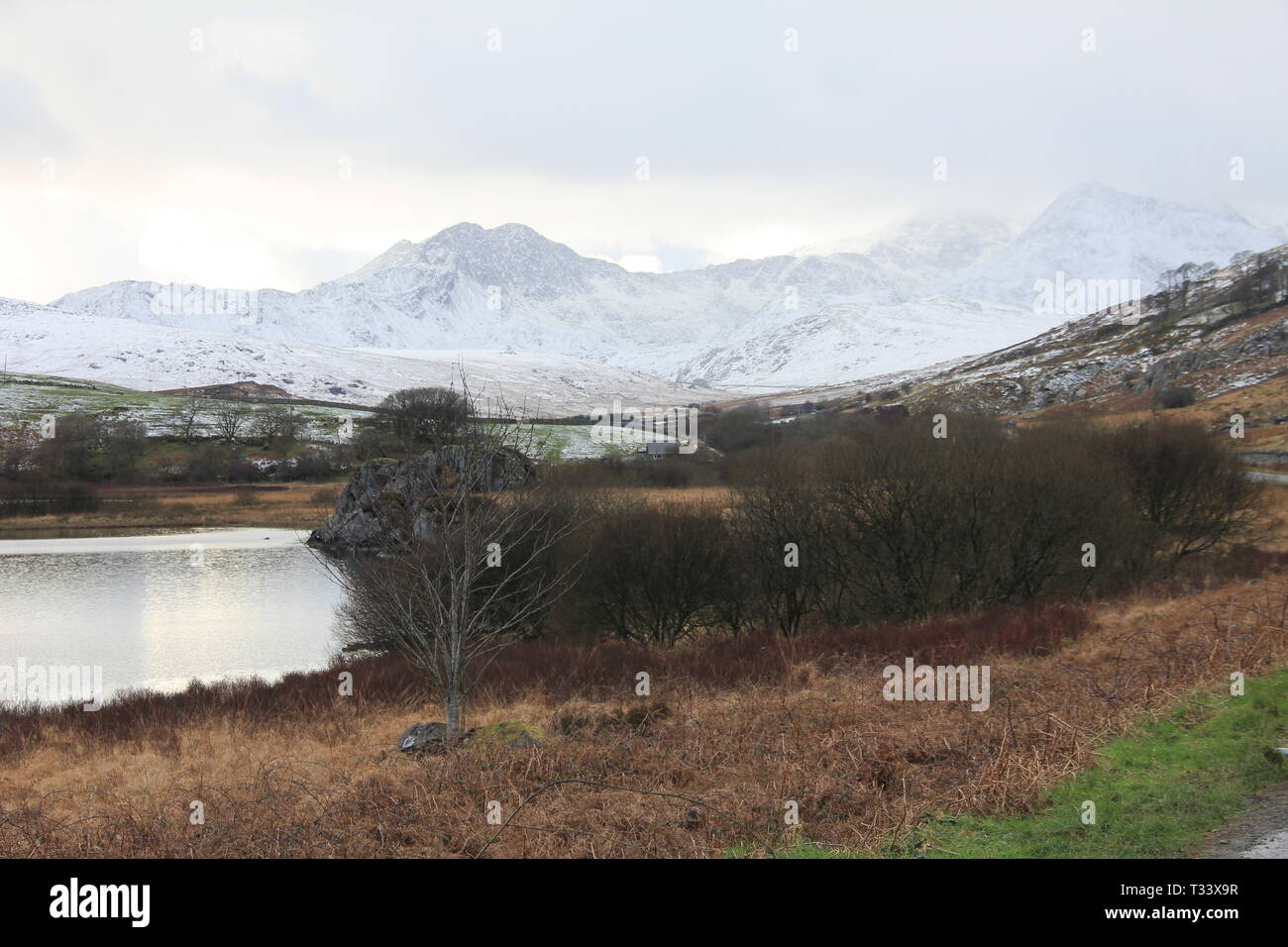 Snowdonia, North Wales Stockfoto