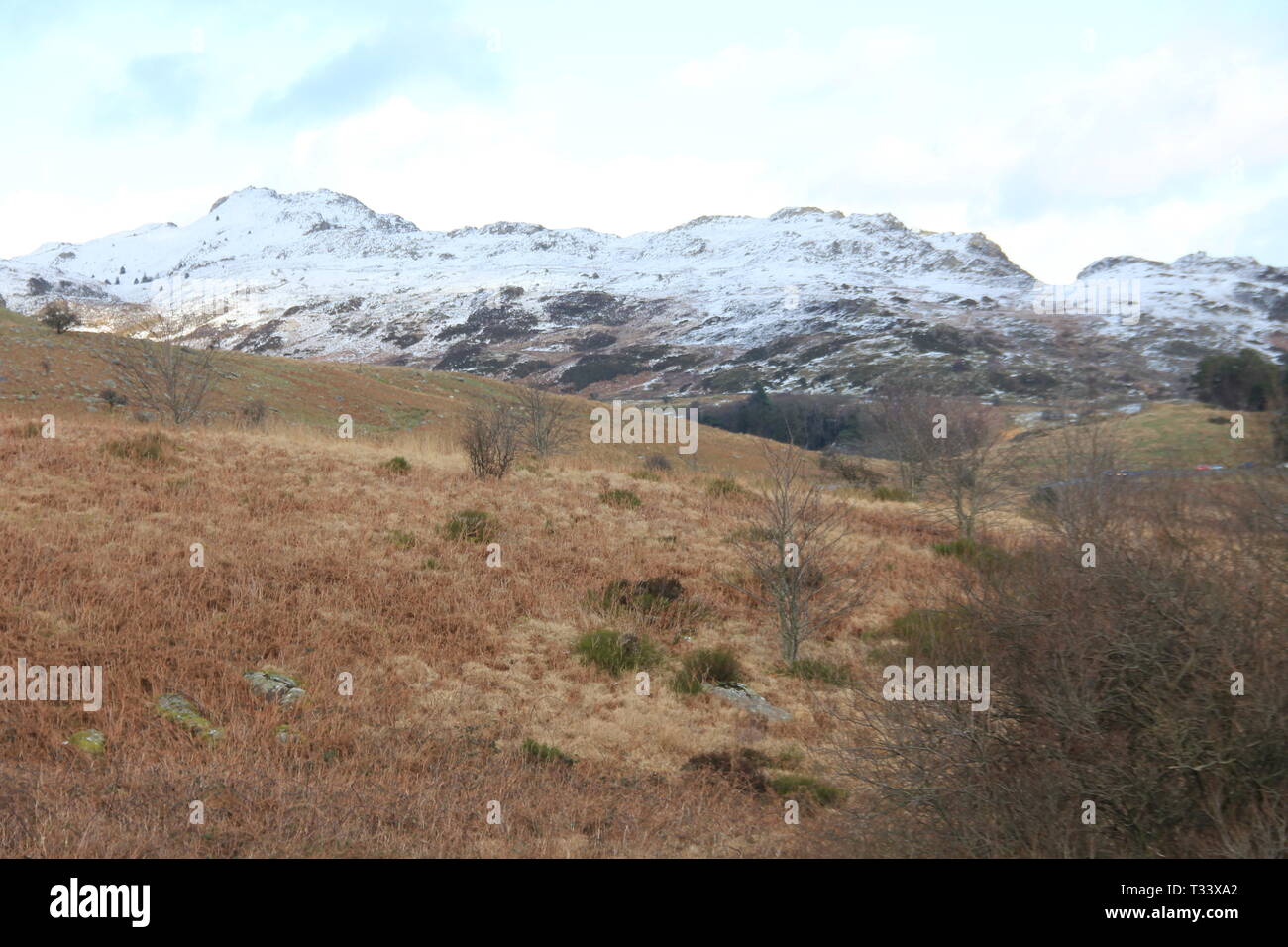Snowdonia, North Wales Stockfoto