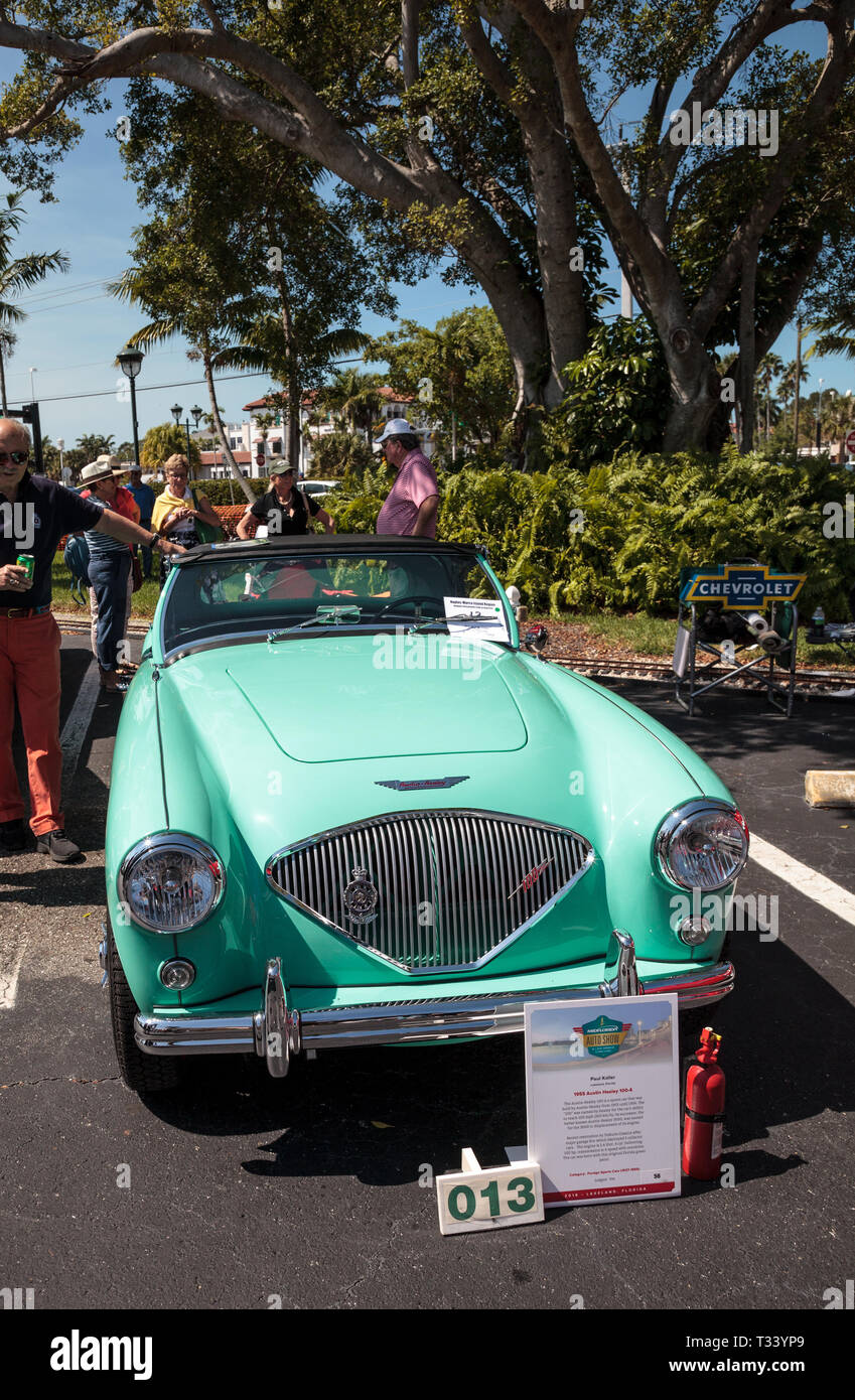 Naples, Florida, USA - März 23,2019: Grün 1955 Austin Healey 100-4 auf der 32. jährlichen Neapel Depot Classic Car Show in Naples, Florida. Leitartikel auf Stockfoto