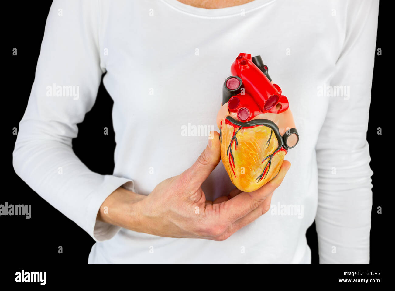 Weibliche Hand hält menschlichen Herzen Modell vor der weißen Körper auf schwarzem Hintergrund Stockfoto