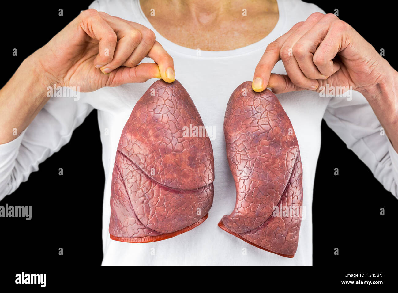 Die menschliche Person hält zwei lungenflügel Modelle vor weiße Brust auf schwarzem Hintergrund Stockfoto
