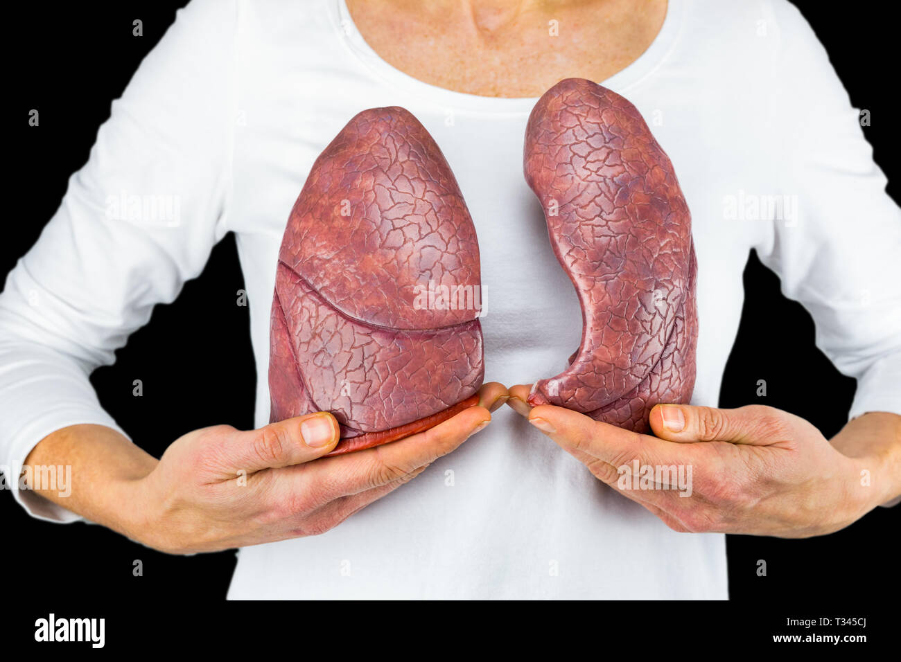 Frau hält Modelle der beiden Lungen am weißen Körper auf schwarzem Hintergrund Stockfoto