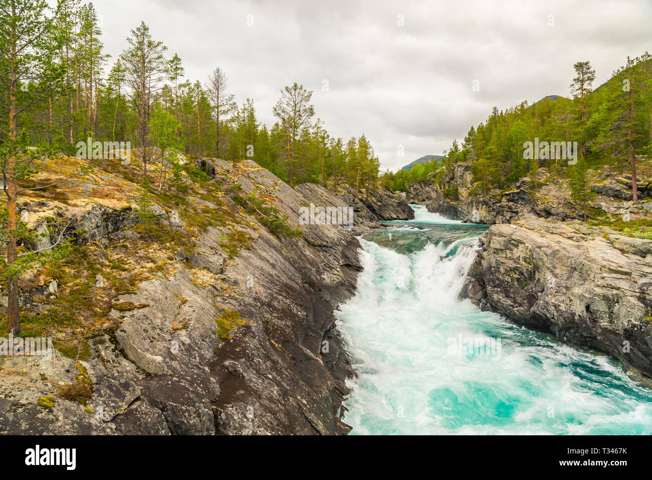 Berg wild river valley Landschaft. Mountain River durch den grünen Wald fließt. Panoramablick auf die Berge. Tobenden Gebirgsfluss in Stockfoto