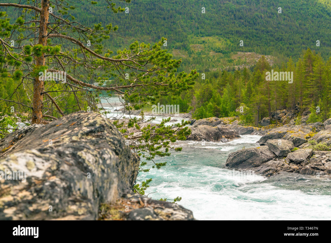 Berg wild river valley Landschaft. Mountain River durch den grünen Wald fließt. Panoramablick auf die Berge. Tobenden Gebirgsfluss in Stockfoto