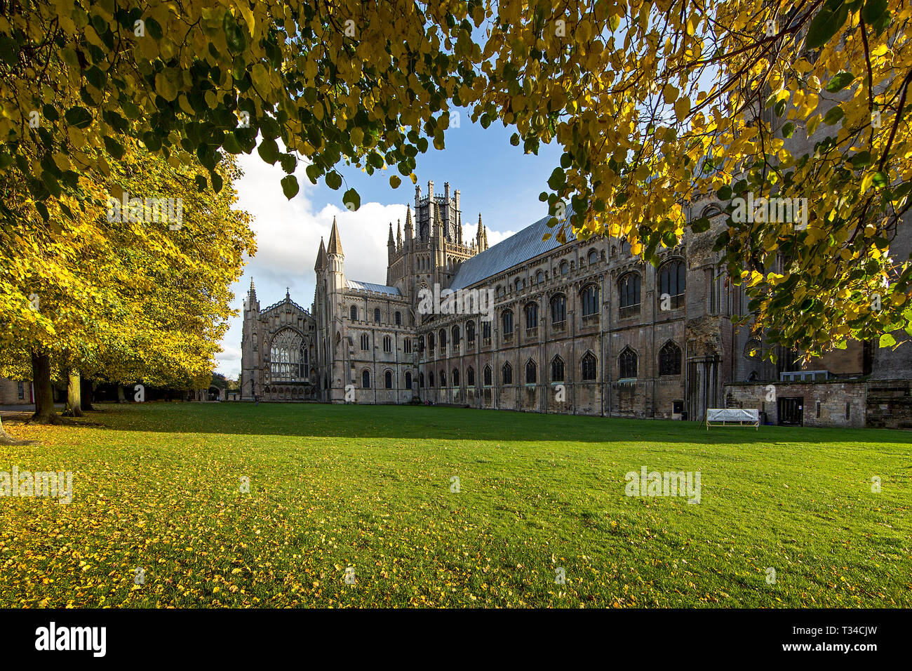 Die Kathedrale von Ely im Spätsommer. Stockfoto