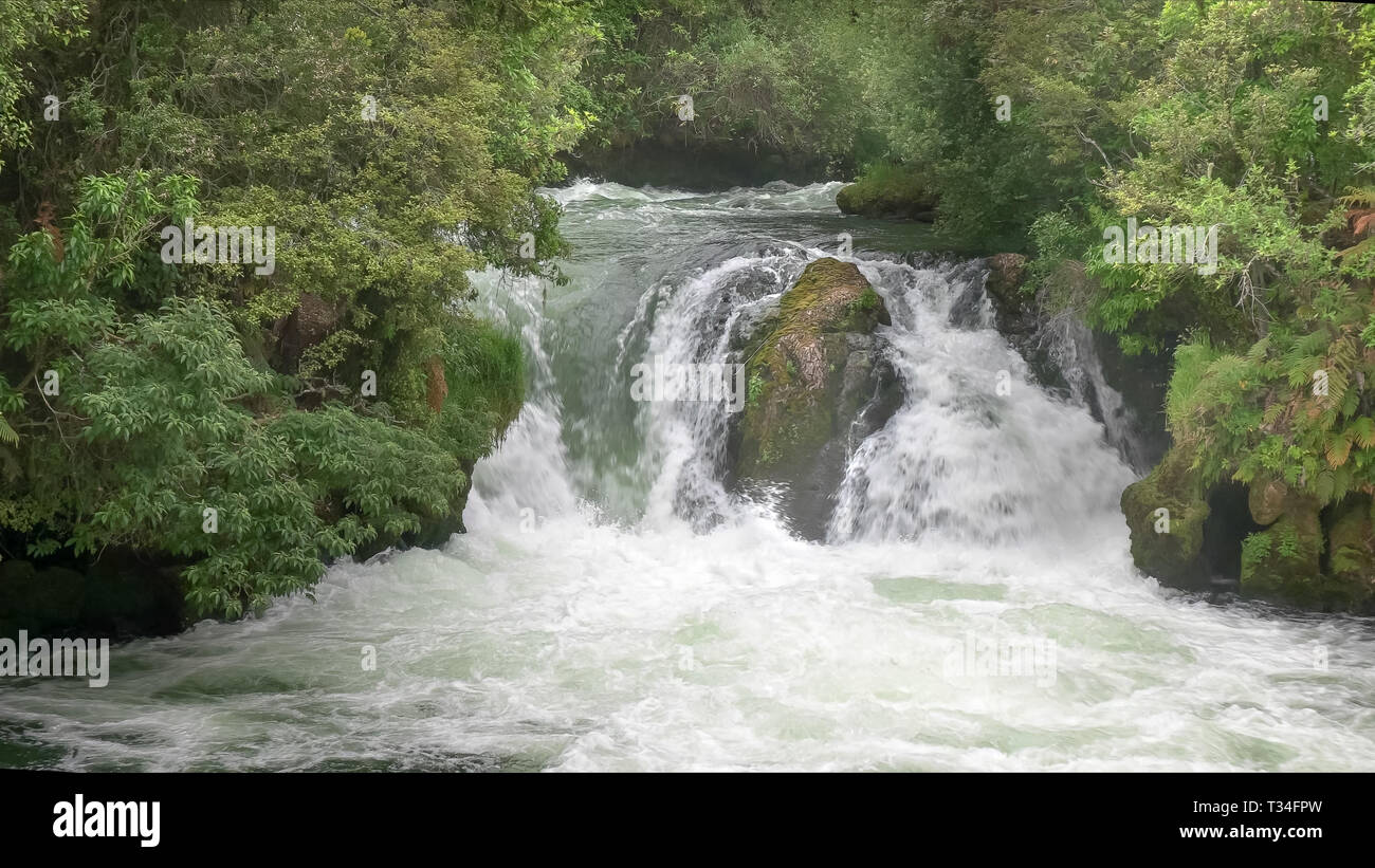 Okere falls in der Nähe von Rotorua auf der Nordinsel von Neuseeland Stockfoto