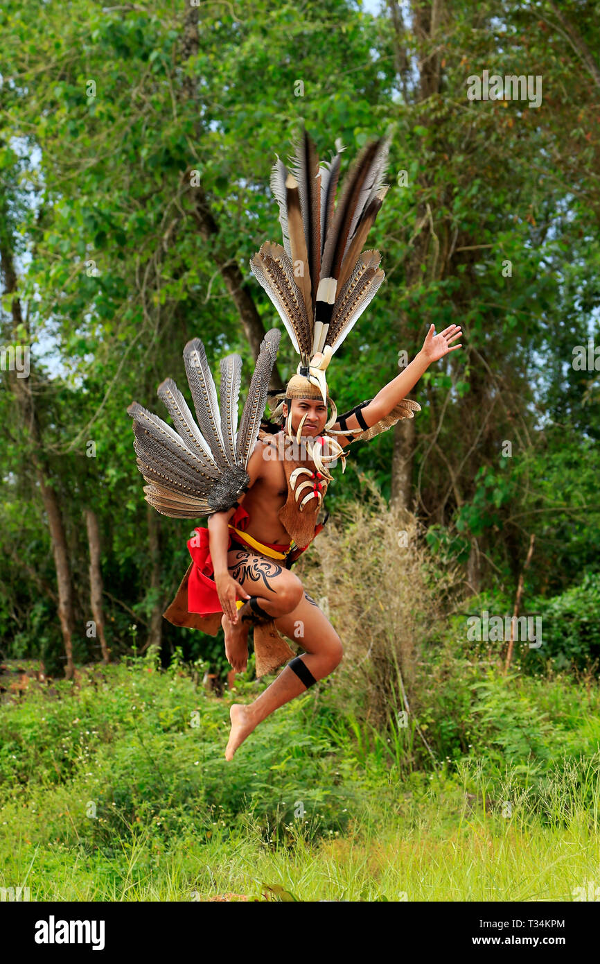 Dyak Stamm Mann tanzen, Borneo, Indonesien Stockfoto