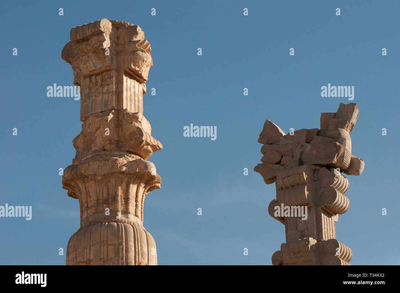 Spalten in der Apadana, Perspeolis, Marvdasht, Provinz Fars, Iran Stockfoto