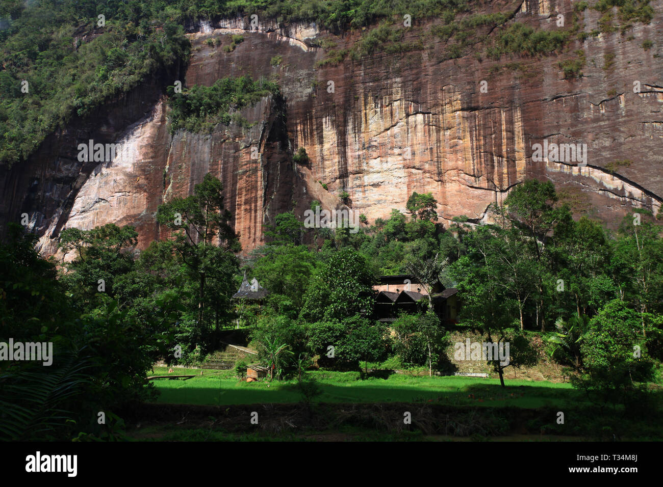 Harau Tal, West Sumatra, Indonesien Stockfoto