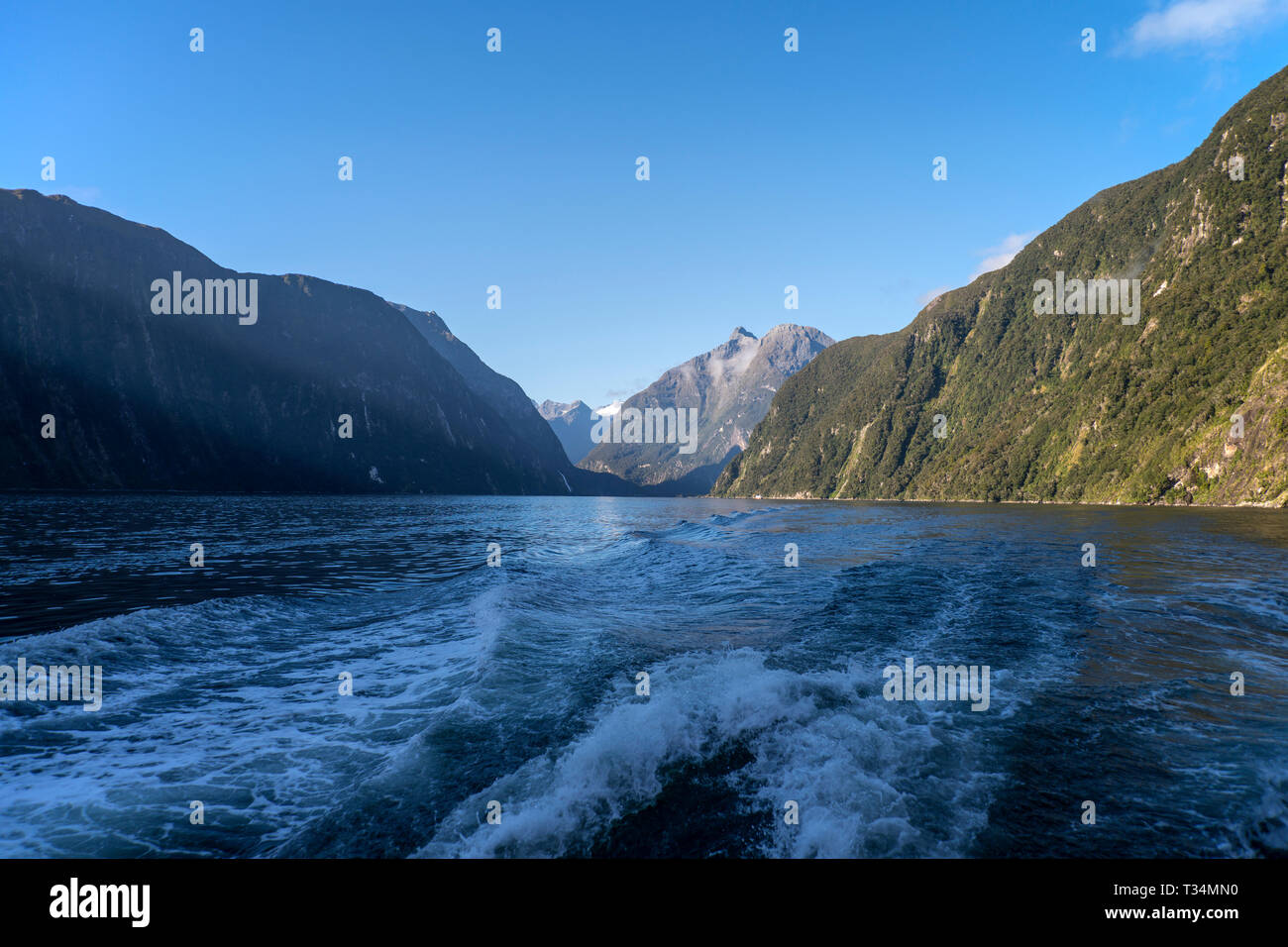 Boot im Milford Sound, Südinsel, Neuseeland Stockfoto