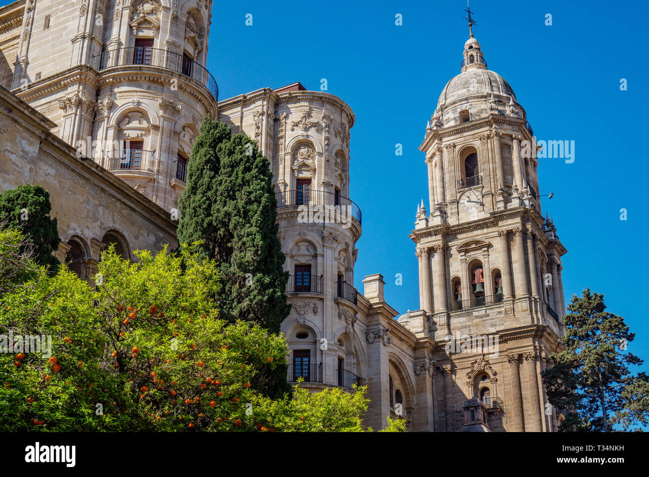 Kathedrale der Menschwerdung in Malaga, Spanien im Garten in der Sonne Stockfoto