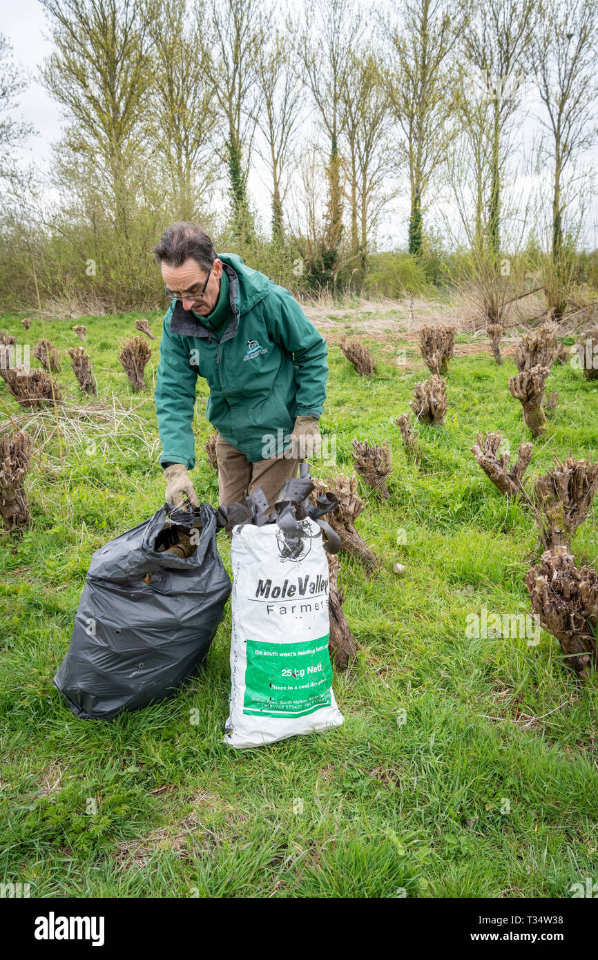 Lark Rise Farm, Barton Cambridgeshire UK 6. April 2019. Freiwillige clean up Wurf und alten Kunststoff verwendet, junge Bäume von einem willow Plantage als Teil der Großen Britischen Frühjahrsputz 2019 schützen. Die Freiwilligen helfen die Landschaft Restaurierung Vertrauen eine führende wildlife Landwirtschaft Nächstenliebe, die das Ereignis unter dem Dach der Halten Großbritannien ordentlich Initiative organisiert. Ziel ist es, 500.000 Menschen Wurf von Ihren lokalen Umgebungen zwischen 22. März und 23. April 2019 zu entfernen inspirieren. Credit: Julian Eales/Alamy leben Nachrichten Stockfoto
