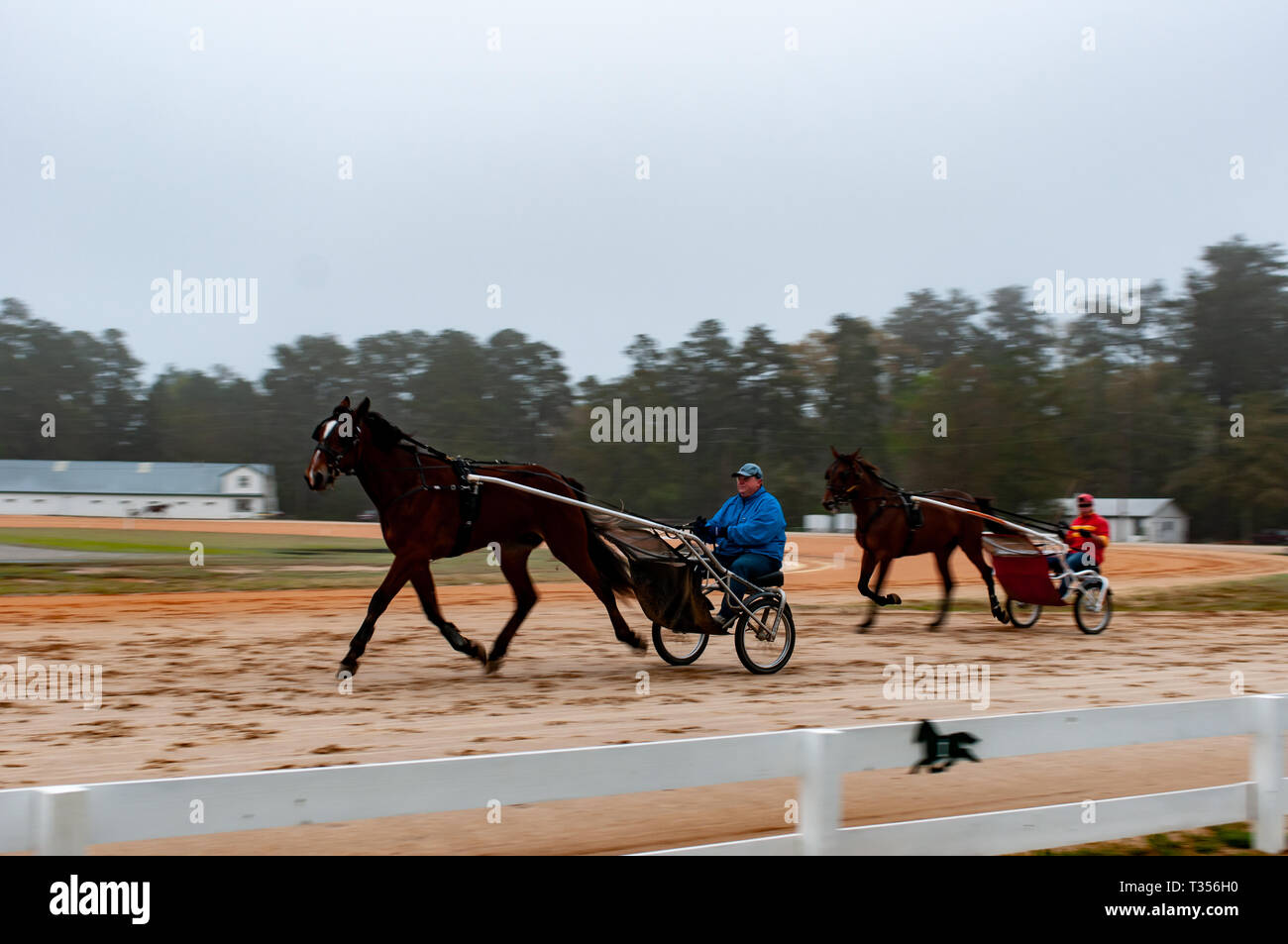 Pinehurst, North Carolina, USA. 3 Apr, 2019. April 6, 2019 - Pinehurst, N.C., USA - Treiber üben ihre Pferde in einem frühen Morgennebel vor dem 70. jährlichen Frühling Matinee Kabelbaum Rennen durch die Pinehurst Fahren & Training Verein gefördert, an der Pinehurst Kabelbaum Track, Pinehurst, North Carolina. Rennen in diesem Jahr der 104. Jahrestag der Spur zu gedenken. Credit: Timothy L. Hale/ZUMA Draht/Alamy leben Nachrichten Stockfoto