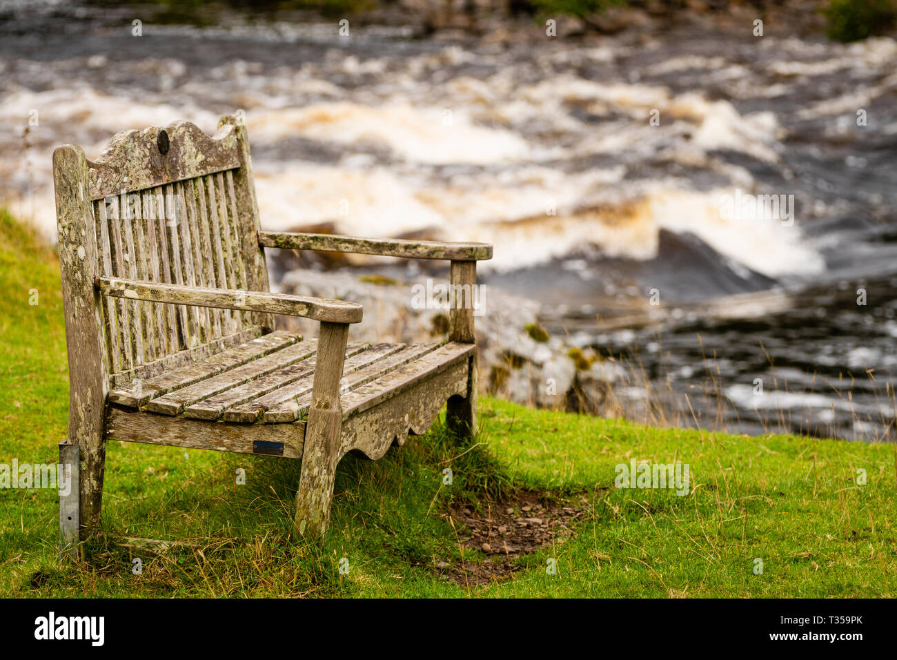 Holzbank vor der Stromschnellen auf einer gehenden Zug am Cassley fällt, Invercassley, Schottland. Stockfoto