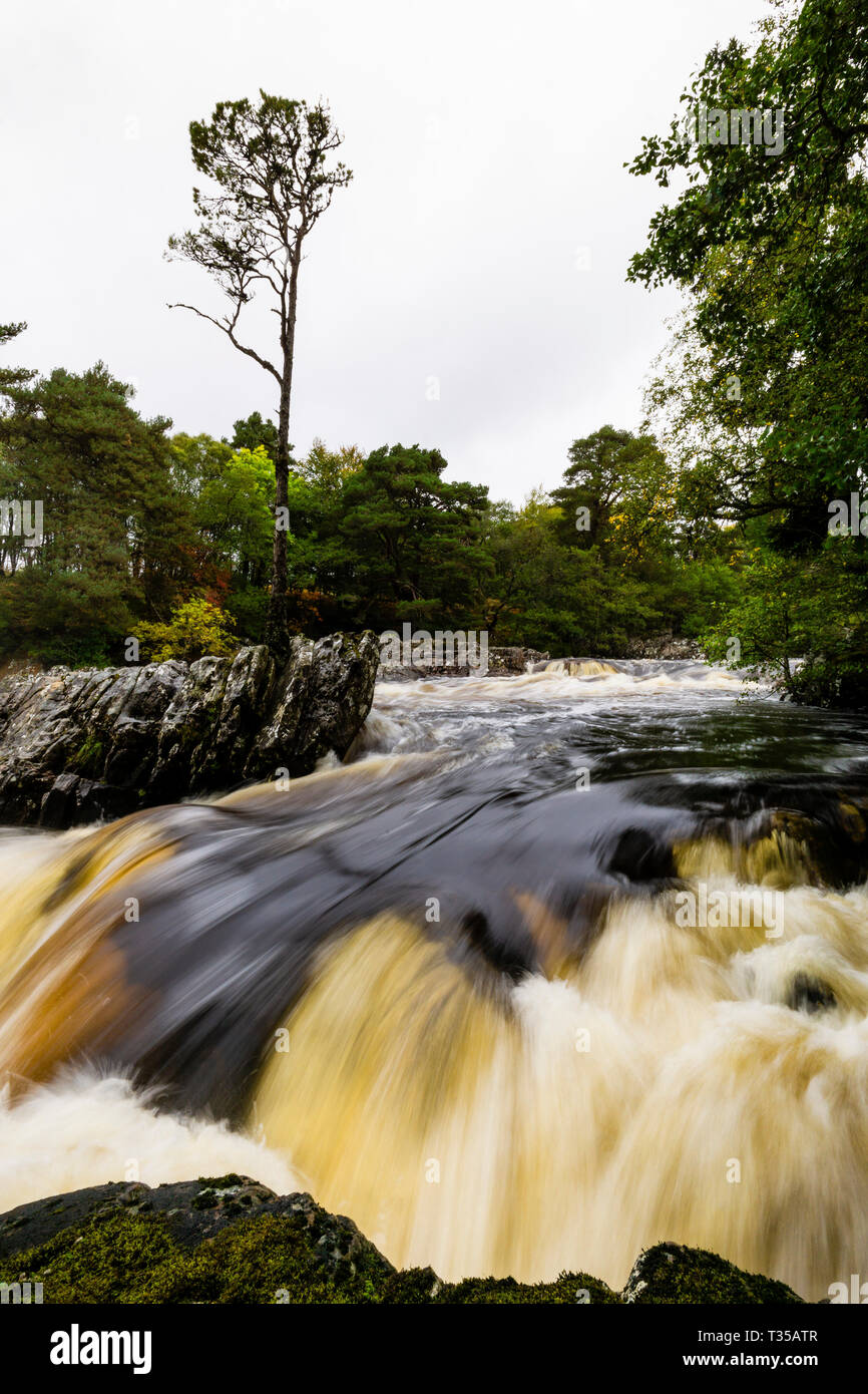 Unter den vollen Durchfluss Bedingungen gezeigt, Cassley fällt auf River Cassley in der Nähe von Achness, Sutherland, Schottland. Stockfoto