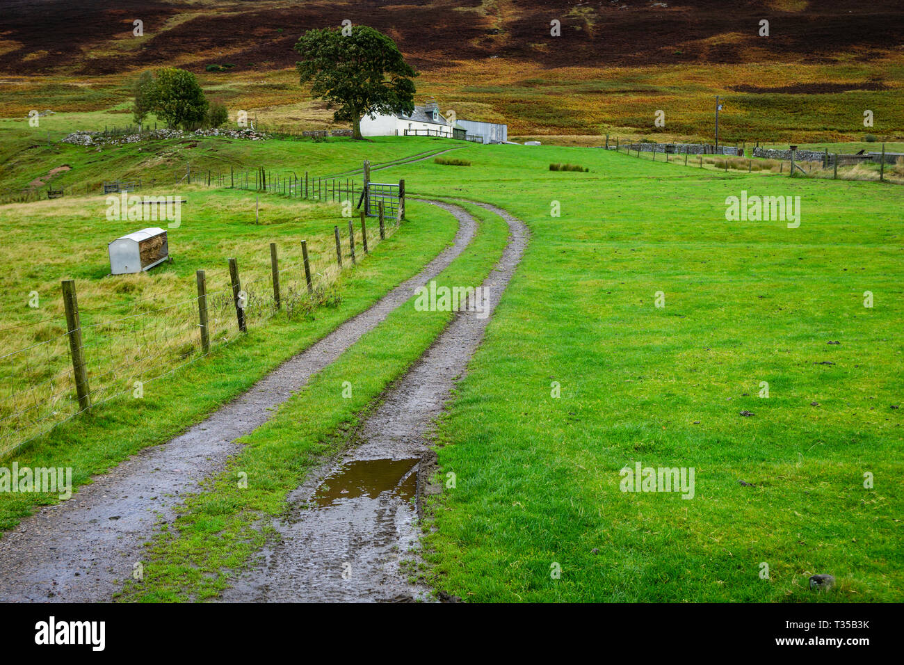 Zwei-poligen Auffahrt führt einen Hügel zum Bauernhaus auf der A 897 in Schottland. Stockfoto