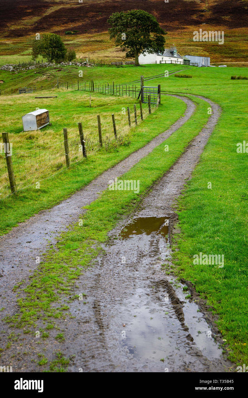 Zwei-poligen Auffahrt führt einen Hügel zum Bauernhaus auf der A 897 in Schottland. Stockfoto