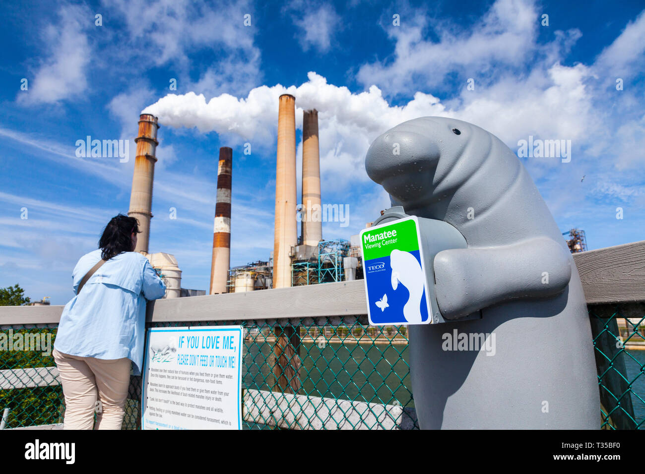 Manatee Viewing Center Big Bend Power Station Tampa Electric Apollo Beach Florida Usa Stockfotografie Alamy