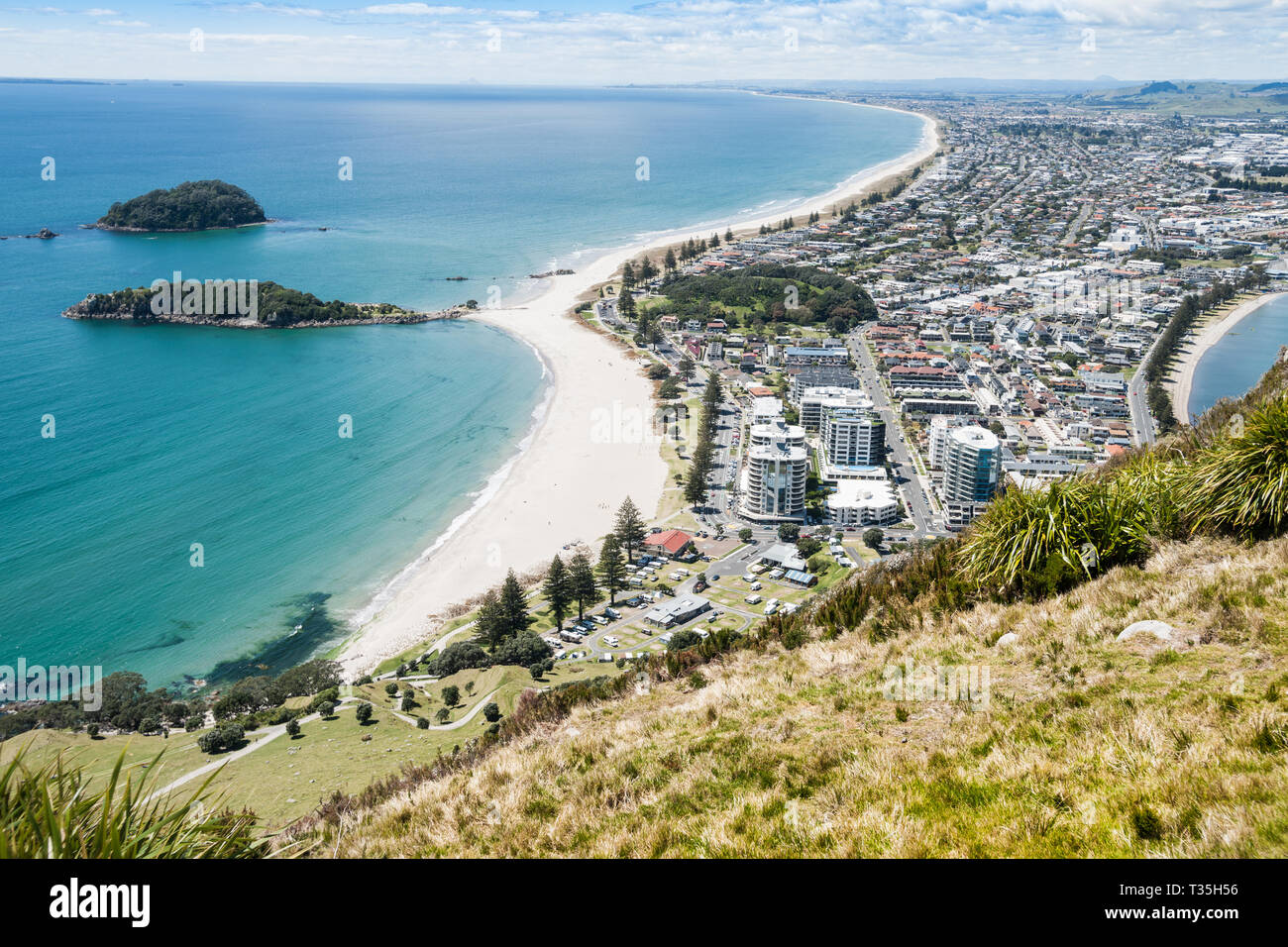 Blick entlang der langen Sandstrände der Bucht von viel, Neuseeland und Mount Maunganui von oben am Hang des Berges. Stockfoto