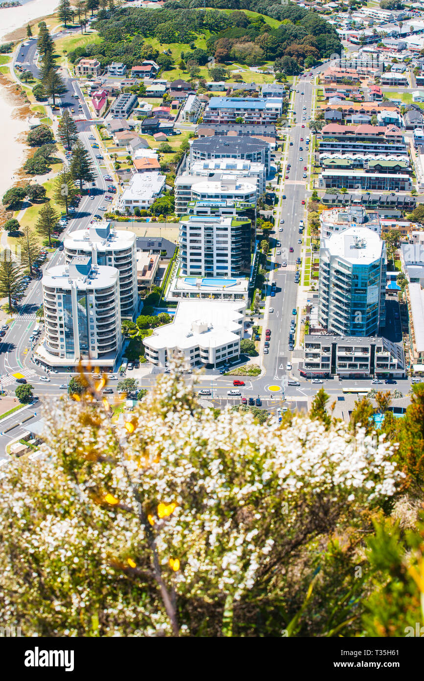 Urban Blick vom Gipfel des Mount Maunganui zu Straßen und Apartment Gebäude unterhalb, Tauranga Neuseeland. Stockfoto