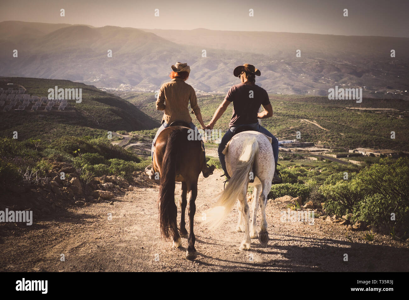 Romantisches Paar breite Pferde zusammen Hand in Hand mit Liebe und Romantik im Outdoor Freizeitaktivitäten lifestyle Alternative - von zurück Junge pe gesehen Stockfoto