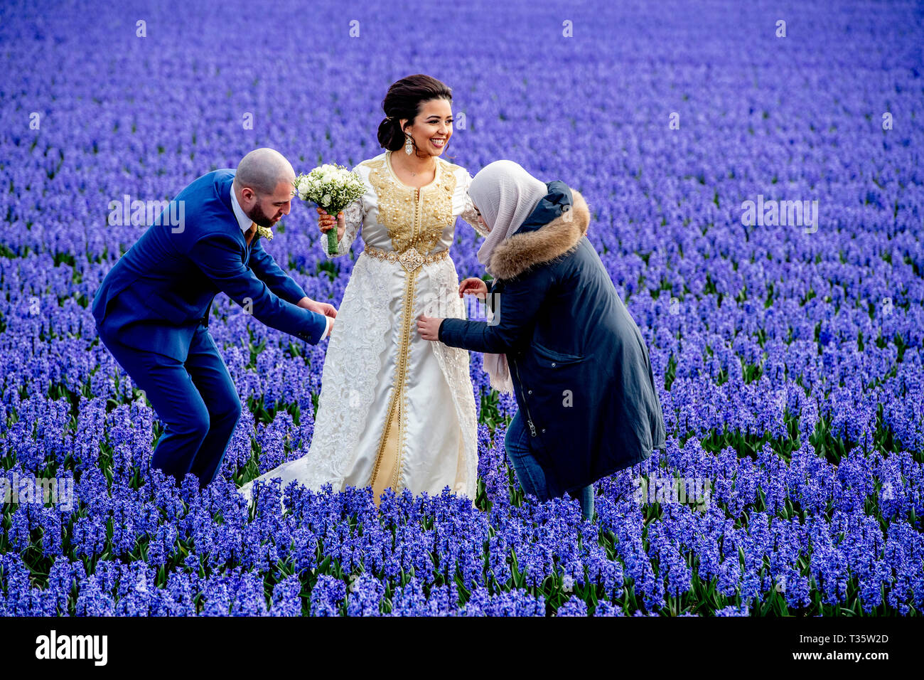 LISSE - een bruidspaar trouwen tulpenvelden staan in de bloei tulp Tulpen, Roos, Rozen, bollenvelden staan in de bloei tijdens de Lente bloembollen Stockfoto